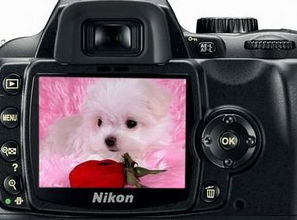 開綠森數碼商城加盟店費用多少 開綠森數碼商城店要多少錢