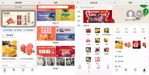 開拓數字銷路，電商建站服務神助攻數碼商城