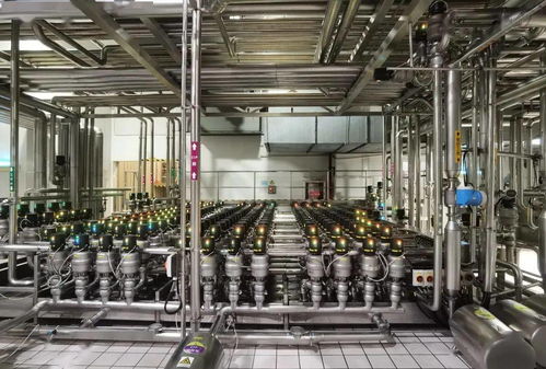 賦能數字中樞 光明華東中心工廠的智能之路